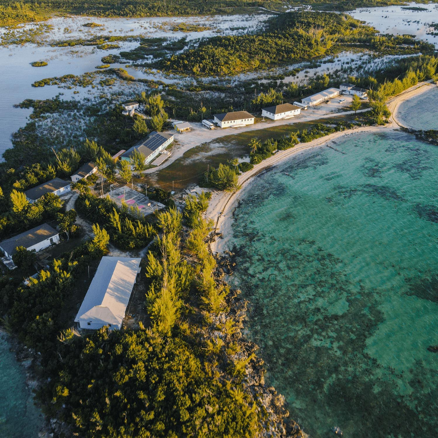 3-WhyAbaco1.29.25
